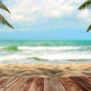 Meet your Posher, Shelley